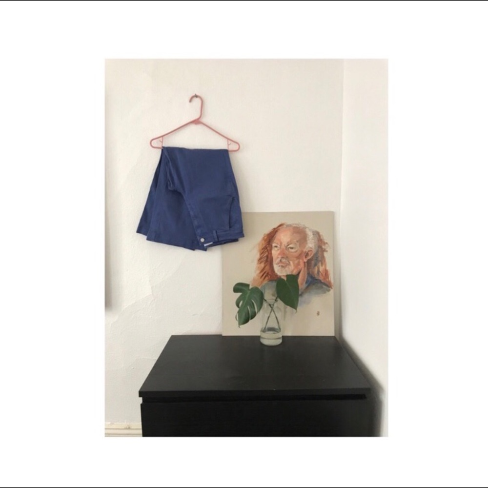 Everlane Wide Leg Pants in Blue